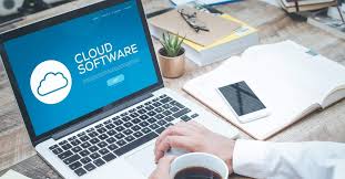custom business software