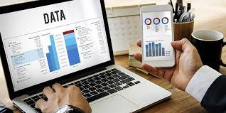 custom business software