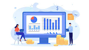 custom business software