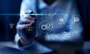 custom business software